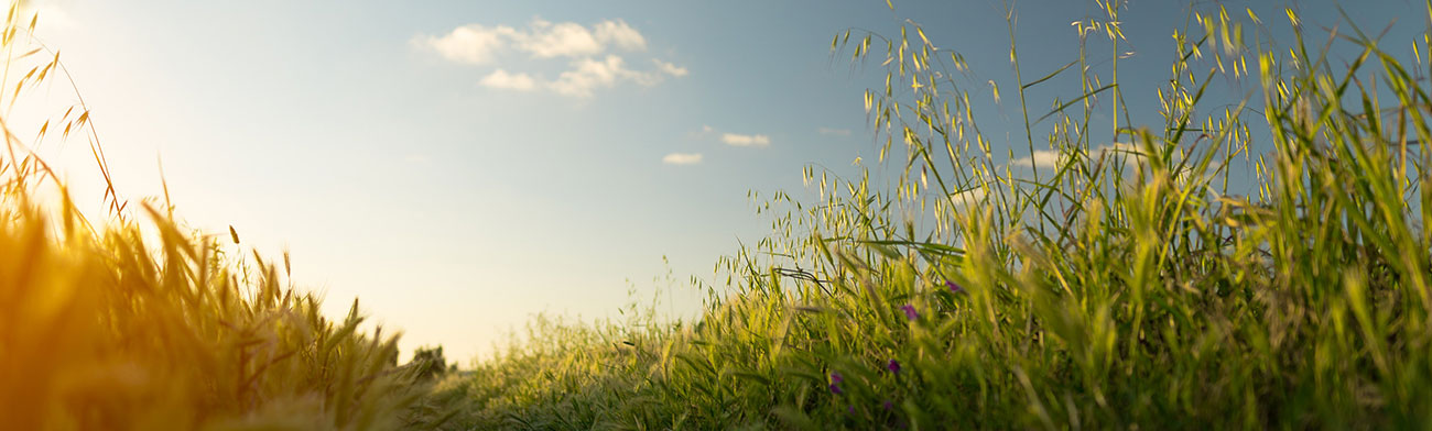 Your Solar Journey Starts Here: Assure Energy Hyderabad + PM Surya Ghar = Zero Power Bills